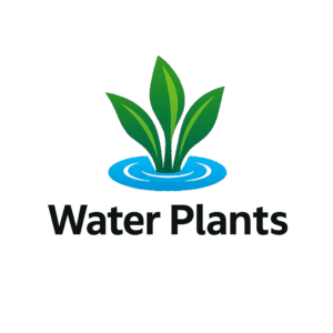 "Logo for Water Plants, featuring three vibrant green aquatic leaves growing from a blue water ripple circle, with the company name 'Water Plants' written in bold black modern font below."