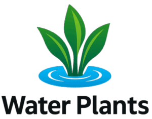 "Logo for Water Plants, featuring three vibrant green aquatic leaves growing from a blue water ripple circle, with the company name 'Water Plants' written in bold black modern font below."
