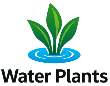 "Logo for Water Plants, featuring three vibrant green aquatic leaves growing from a blue water ripple circle, with the company name 'Water Plants' written in bold black modern font below."